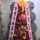 렙타일서플라이코리아