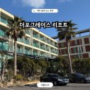 제주 조이황토리조트 | 제주 성산 숙소 가성비 더포그레이스리조트 내돈내산 후기