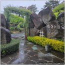 더 테쉬폰 | 제주 서쪽 한림읍 가볼만한 곳 한형수 정원 비오는 날 더 예뻐요!