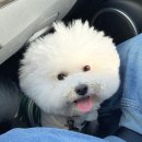 바닐라브릭 | 남양주 바닐라브릭 서울 근교 애견동반 카페 메뉴 주차장 후기