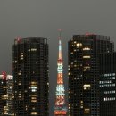 코스모 카 서비스 | 2025 일본 도쿄 여행 ⑤(완결): 츠키시마 몬자야끼 타마토야, 긴자 모리바 위스키, 도미인 야식 후기