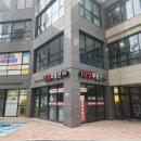 데려오개 이미지