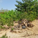 왕곡애견동반펜션 이미지