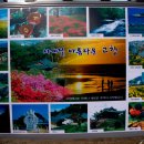 당우농장 Daum카페