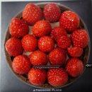 투썸플레이스(A Twosome PLACE) 이미지