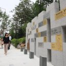 허준테마거리 이미지