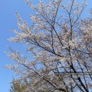 (주)녹색광선 | [일상] 사회초년생의 직장인과 먹짱 그 어딘가 일상 40