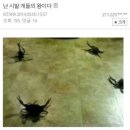 세븐틴코인노래연습장 이미지