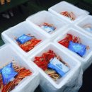 놀자대게 이미지