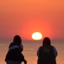 초당약품공업(주) 이미지