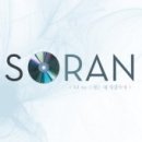 팀민트