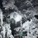 두림농장 | 연말_진행중