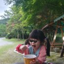 방아재한옥 | 담양숙박 방아재한옥펜션 담양일주일살기 1일차 담양숙소