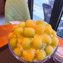 빙수가게 | 🍧 망원동 빙수 맛집 허니빙스, 명품메론 빙수 내돈내산 후기 / 허니빙스