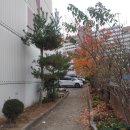 동산비사벌 이미지