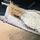 큰 재난과 거짓 그리스도에 대한 경고 (마가복음 13:14-23) 이미지