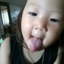 최강아지 이미지