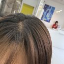 수주 번영로선생 기 | 울산 염색 잘하는 곳 미장원 본점, 자연광에서 진짜 예쁜 브라운 염색 후기