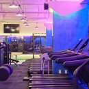 온리스포츠 이미지