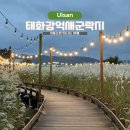 태화강백리자전거길(북측) | 울산 가을 가볼만한곳 억새 명소 태화강 명촌억새군락지 축제
