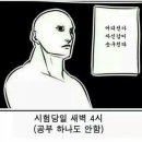 프젠 네이버블로그