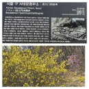 3월22일 어라연의역사문화탐방#71 안산,궁동산,경의선숲길 후기 이미지