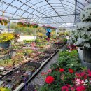 천상리농장 이미지