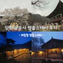 양평 용문사 템플스테이 후기