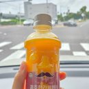 자매닭집 | 제주도 2박3일 여행기 - DAY3 (자구리담수욕장 - 아방국수 - 사계해안 - 모슬포시장 - 풍년떡집 - 씨...