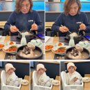 솔터마을입구버스정류장주변 | 아기랑 부모님모시고 김포 구래동점심 마산동맛집 지호한방삼계탕 능이 녹두