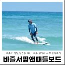 여기;제주도 | 제주도 서핑 강습은 여기! 제주 월정리 서핑 솔직후기