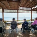 제주휠체어투어 네이버블로그