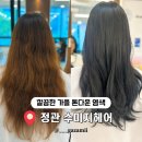 정관약품 | 부산 정관 미용실 웜톤 톤다운 가을 염색 수미지헤어
