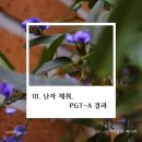 미라클안경 | 10. 미라클 여성의원 난자 채취, PGT-A 결과 후기