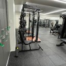 머슬뱅크짐 이미지