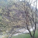 진달래약수터 이미지