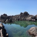 더베이리조트 | 제주 여행 필수 코스: 소천지 주차부터 꿀팁까지! 직접 가보고 알려주는 솔직 후기!