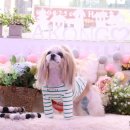 아콩하우스 이미지