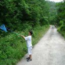 가리왕산 휴양림 이미지