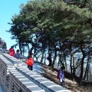 통나무집사람들 이미지