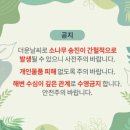 해빛뜰 농어촌체험휴양마을 | 여름휴가 울진기성망양해변 -해빛뜰야영장 (물놀이 포인트)