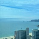 코티스 앰버서더 이미지