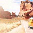 부산애견 이미지