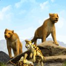 마코르(주) 이미지