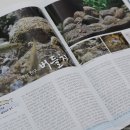 고기이야기 이미지