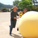 과역초등학교 이미지