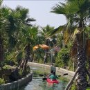 비체올린 이미지