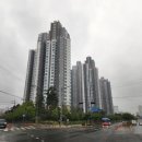 제니스골프24 이미지