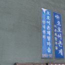 오호항 | 고성 오호항 더킹호 선상낚시 후기