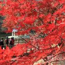 한양광택사 이미지